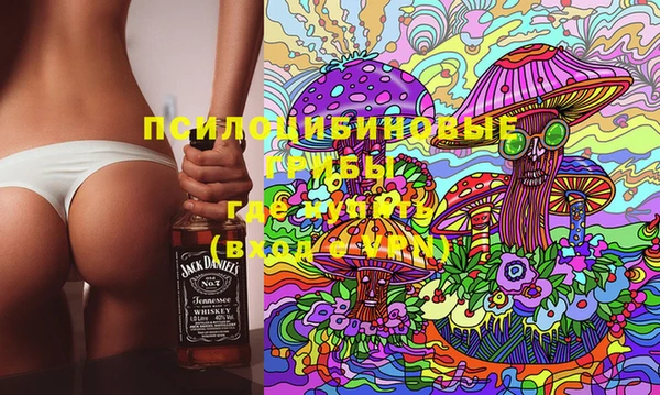 крисы Беломорск